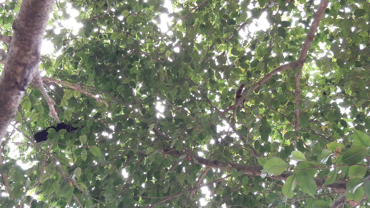 מטרה Amazing Villa מראה חיצוני תמונה