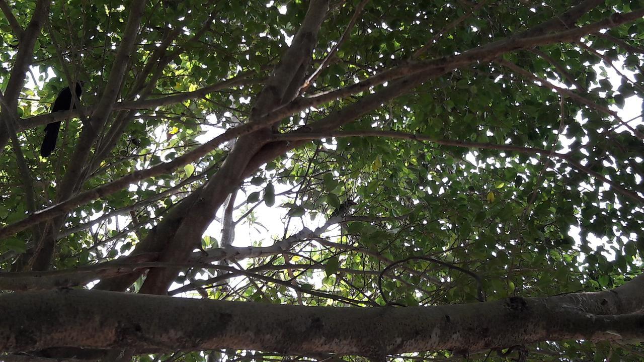מטרה Amazing Villa מראה חיצוני תמונה