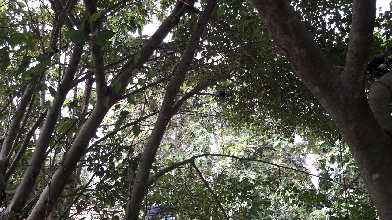מטרה Amazing Villa מראה חיצוני תמונה